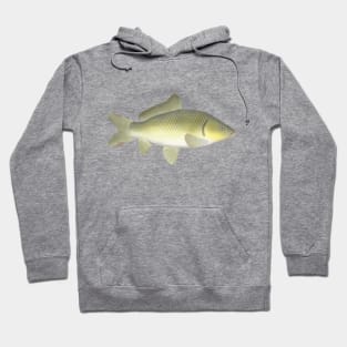 Amur Carp Hoodie